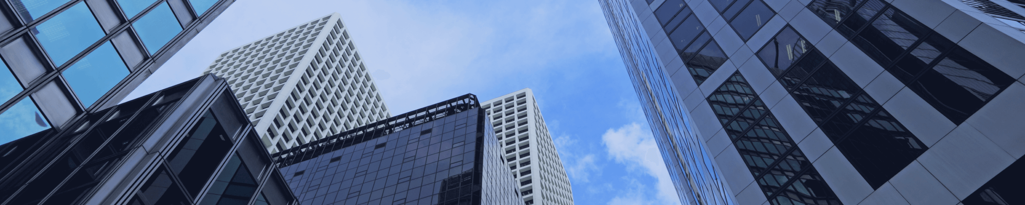 Banner de la store El Tecnico Spa