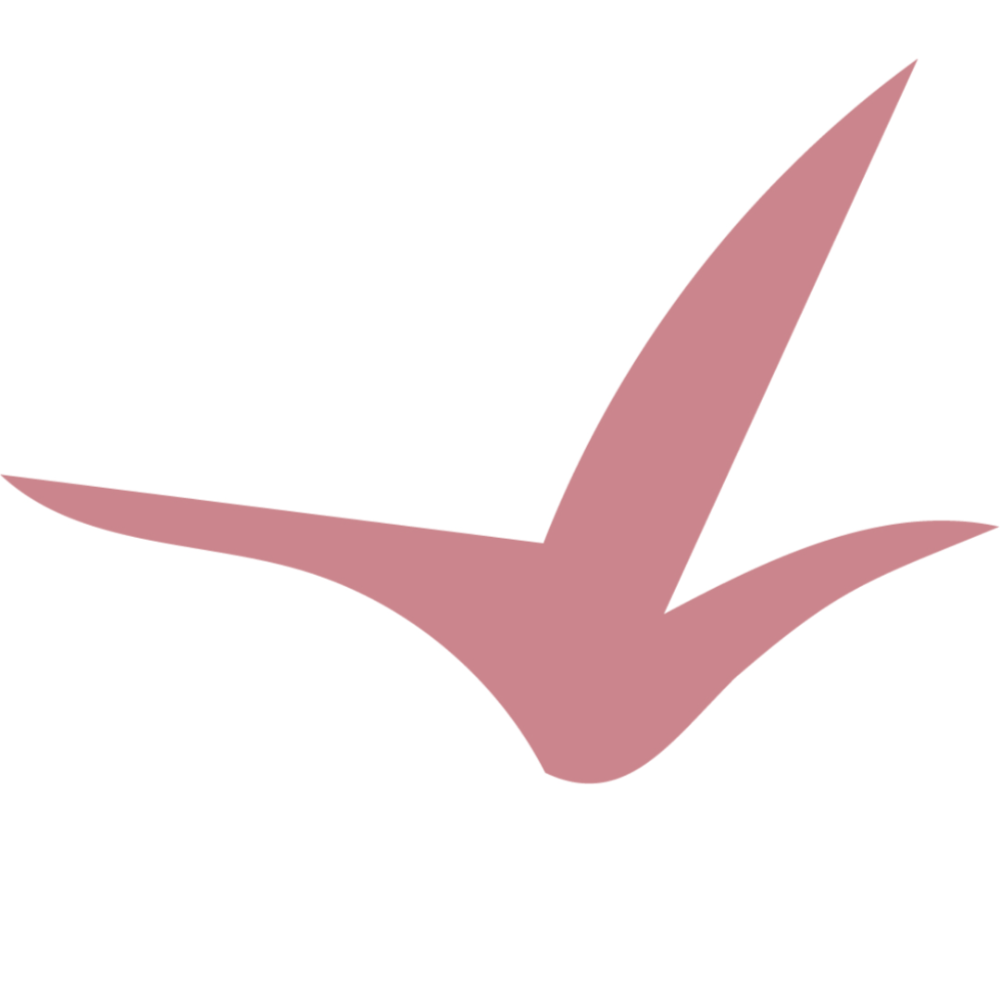 Logo de Perforaciones Goia