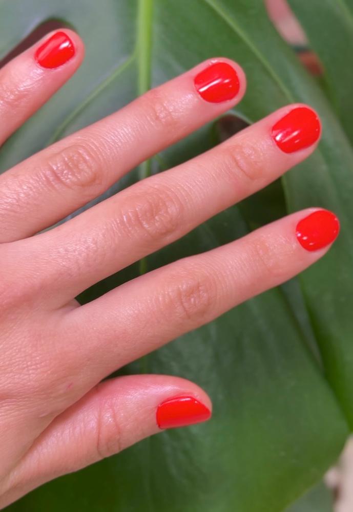 Imagen numero 1 del servicio Manicure permanente color