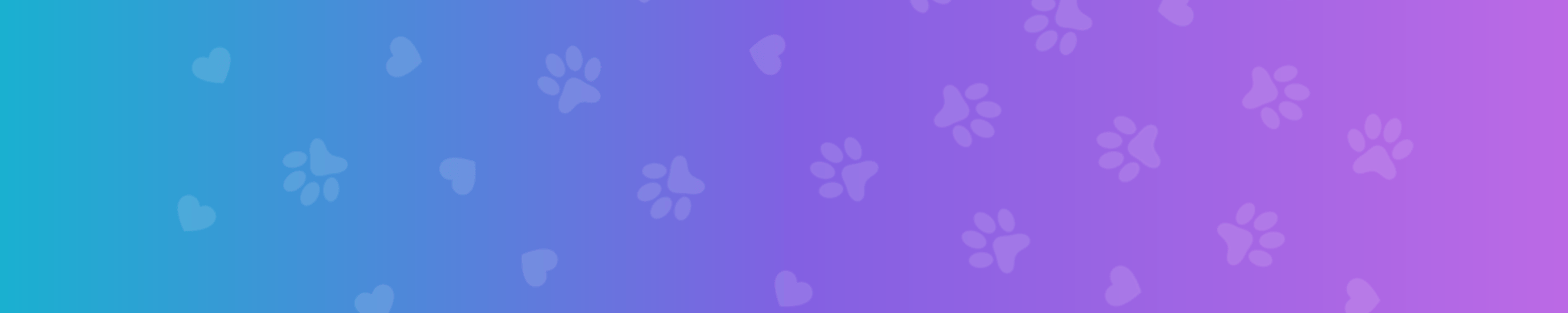 Banner de la store Patitas Consentidas