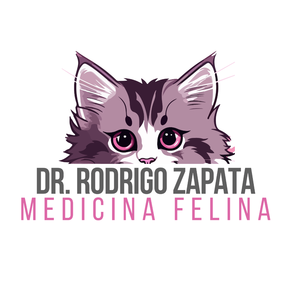 Logo de Doctor Gatitos CCP