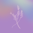 Logo de Estefany Nahuelcheo Terapeuta Integrativa
