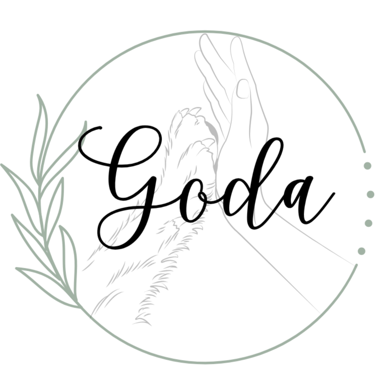 Logo de Centro Psicologico Goda