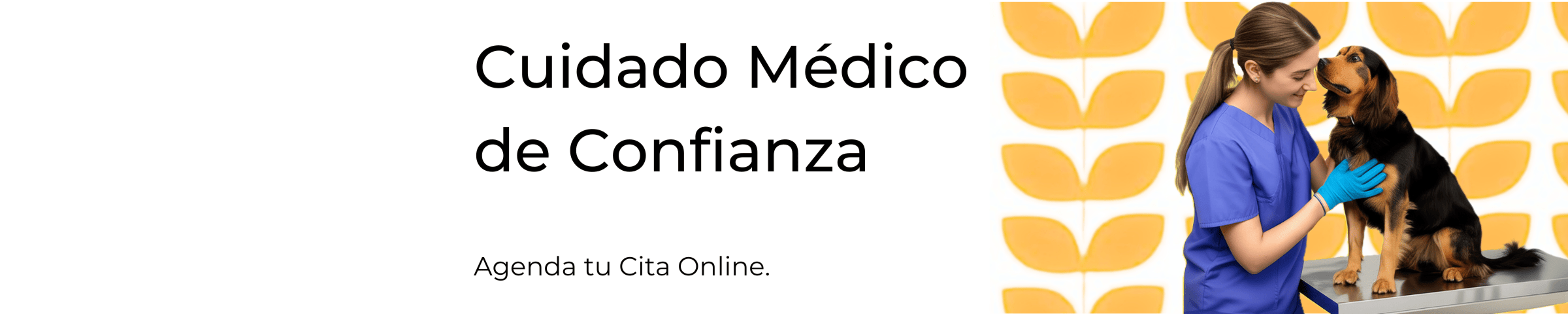 Banner de la store ValVet Veterinaria