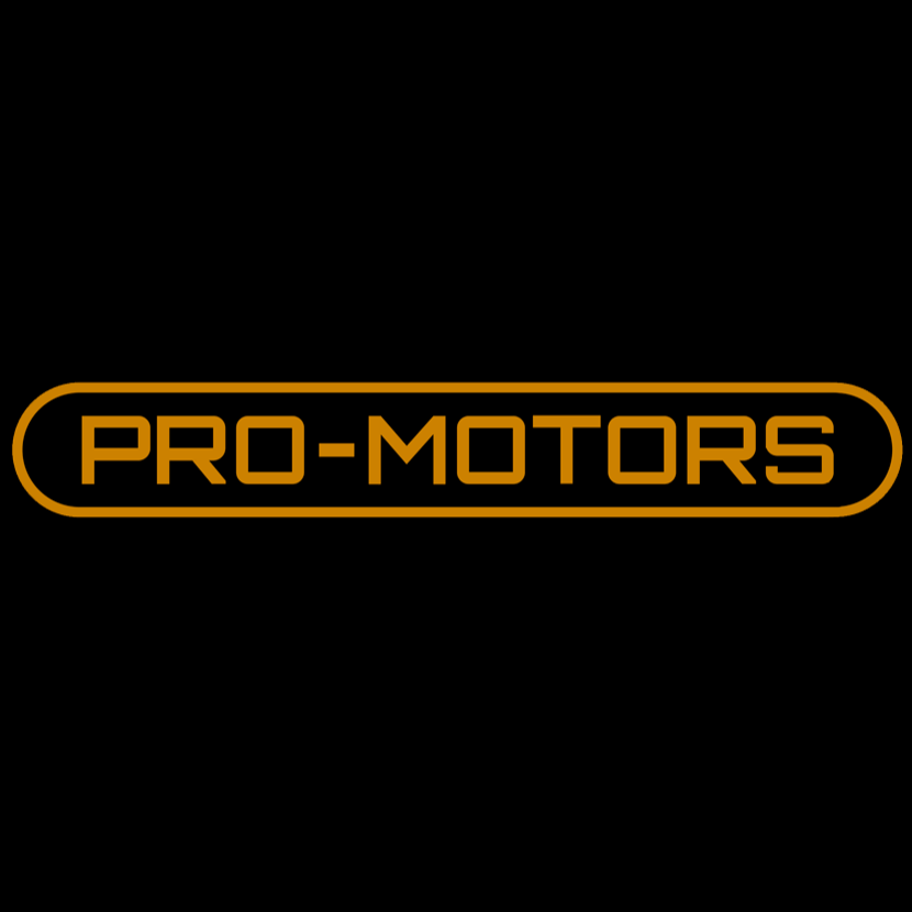 Logo de Promotorschile