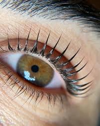 Imagen numero 2 del servicio Lifting de pestañas coreano banhada