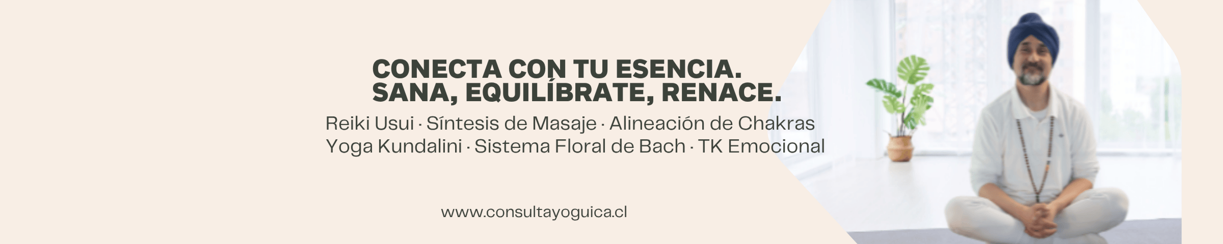 Banner de la store Consulta Yoguica