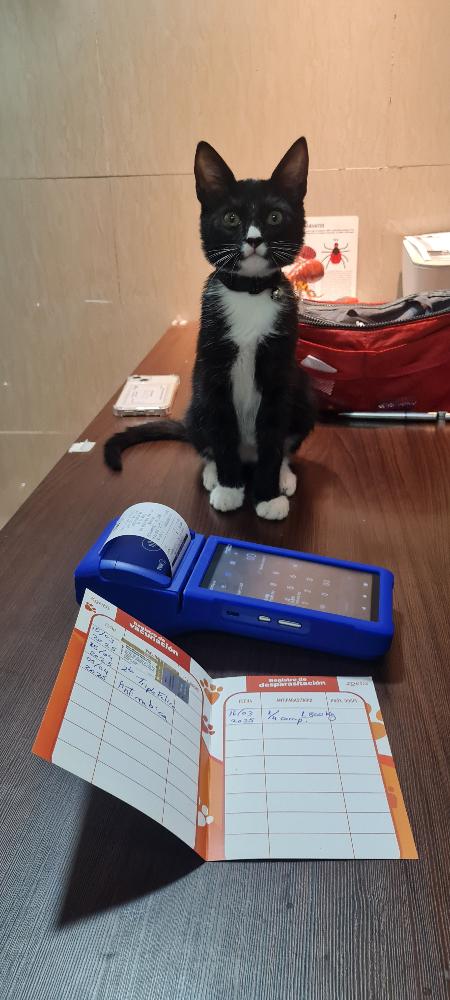 Imagen numero 1 del servicio Plan 2 Mascotas Vacunas