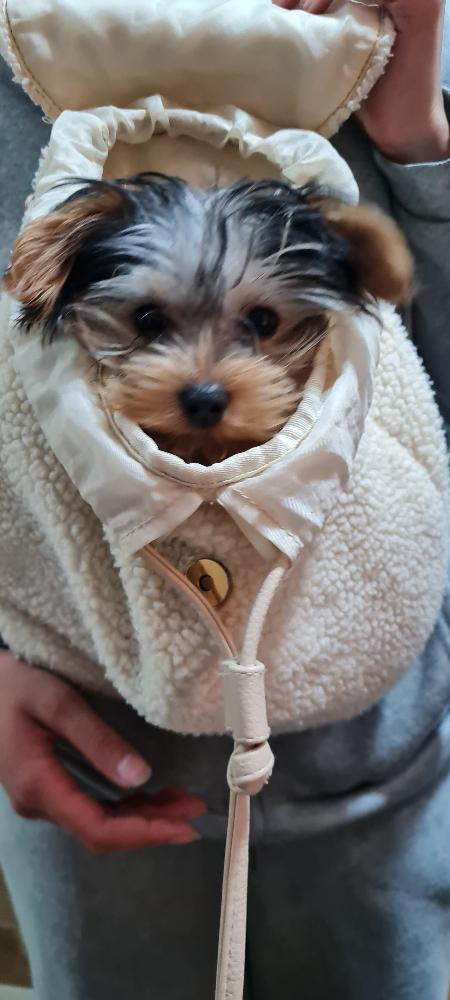 Imagen numero 2 del servicio Plan 2 Mascotas Vacunas