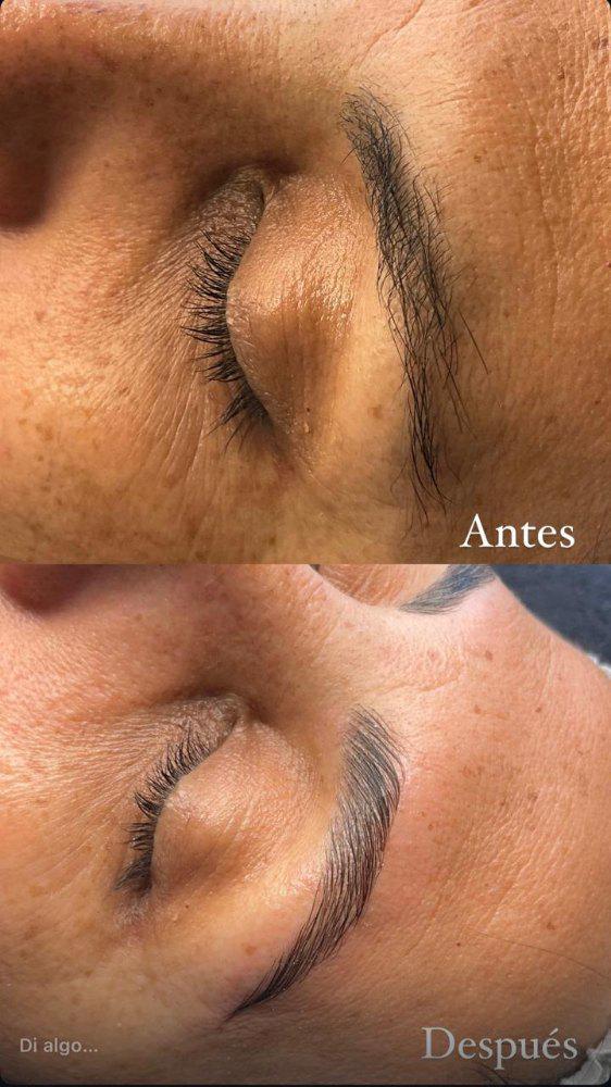Imagen numero 1 del servicio Laminado de cejas