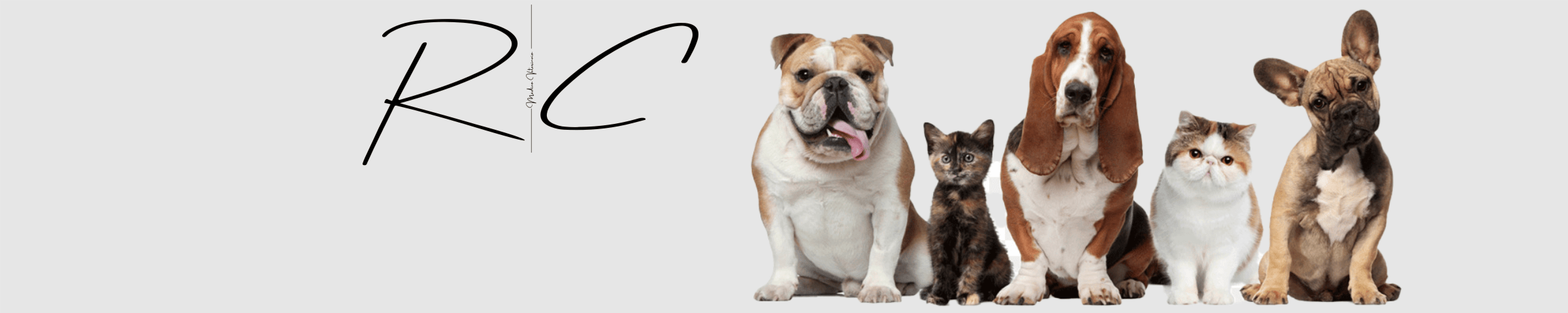 Banner de la store RC Veterinaria