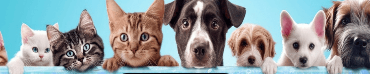 Banner de la store CLEANDOG