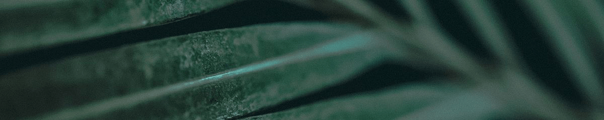 Banner de la store Centro de estética Allison Soto