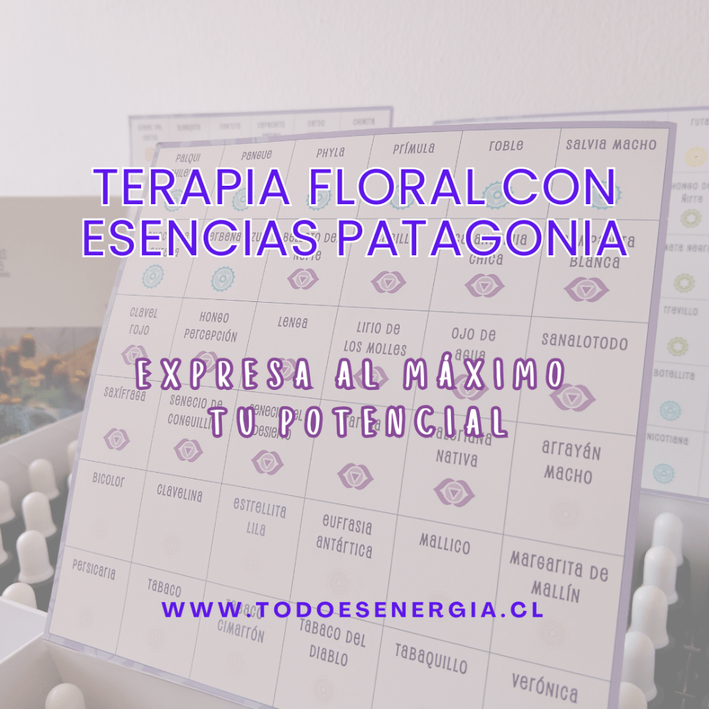 Imagen numero 1 del servicio TERAPIA FLORAL ONLINE CON ESENCIAS PATAGONIA